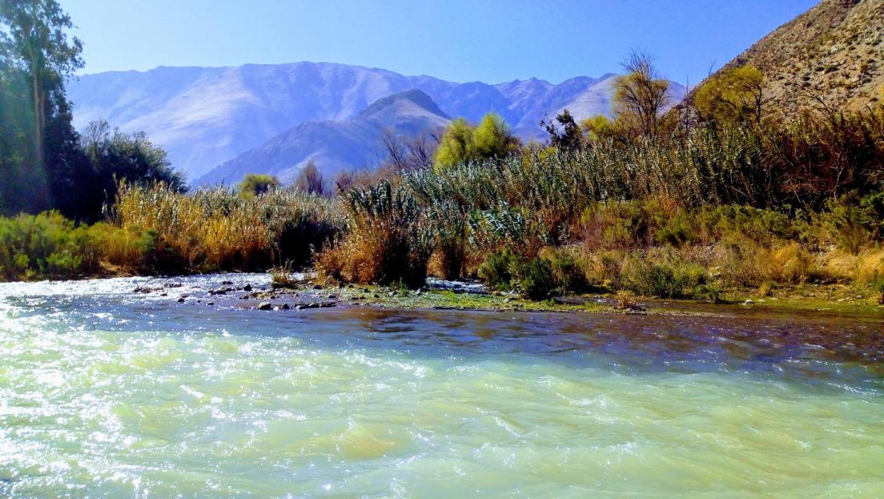 Astro Camping Elqui Experience Vicuña Zewnętrze zdjęcie